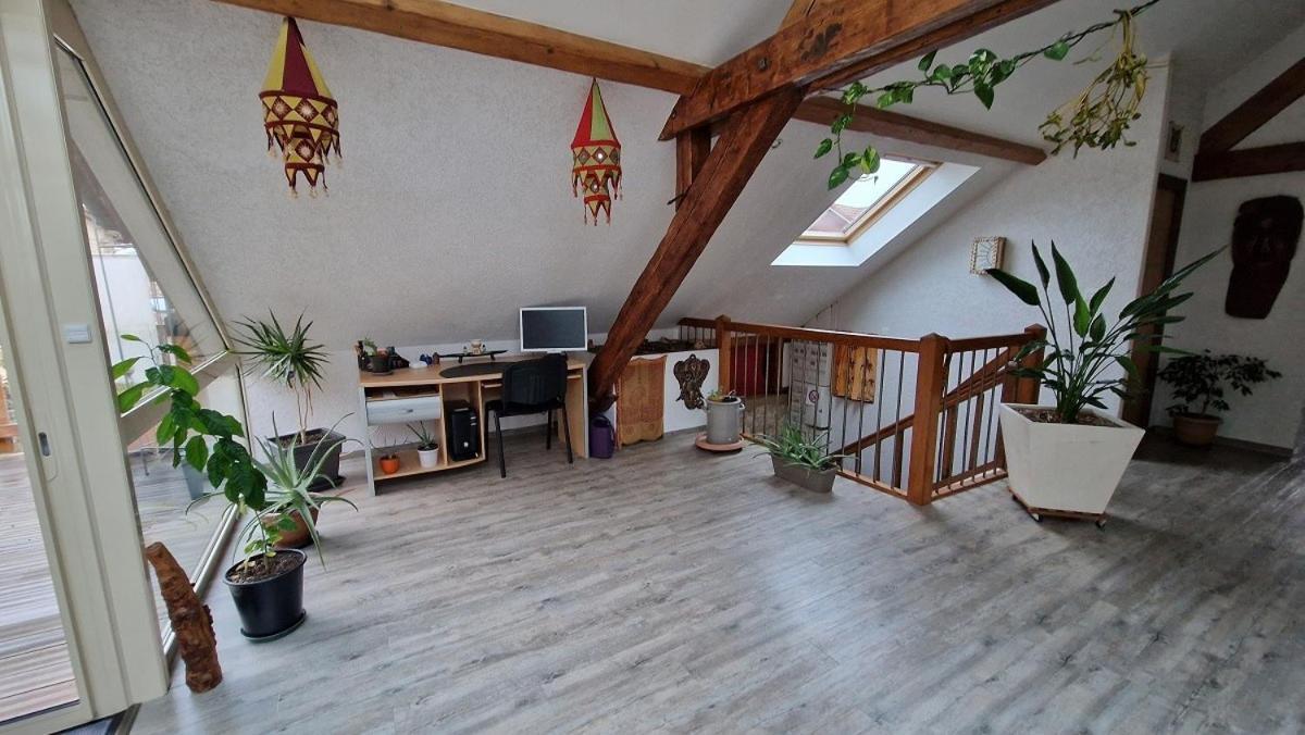 Bel Appartement 120 M² Tres Lumineux Avec Terrasse Morvillars Εξωτερικό φωτογραφία
